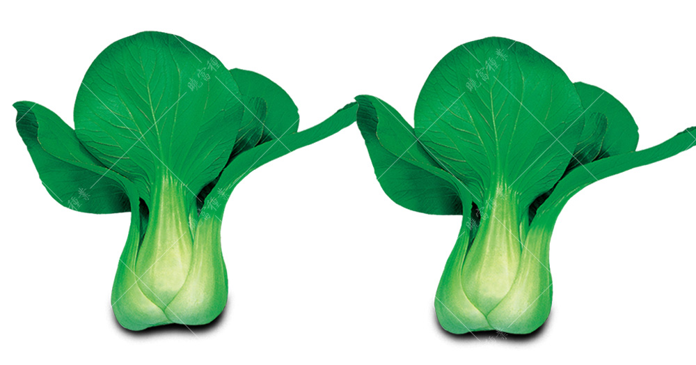 1557805862130142.jpg 直通車.jpg